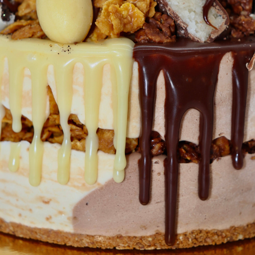 Gâteau glacé Entremets bi-goût